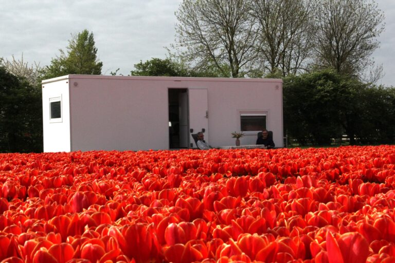Exterieur van een SwiftHomes woonunit